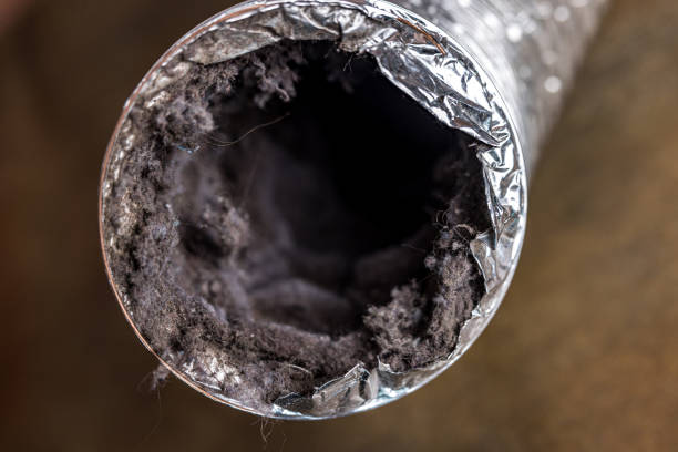Best HVAC Air Duct Cleaning  in Apison, TN
