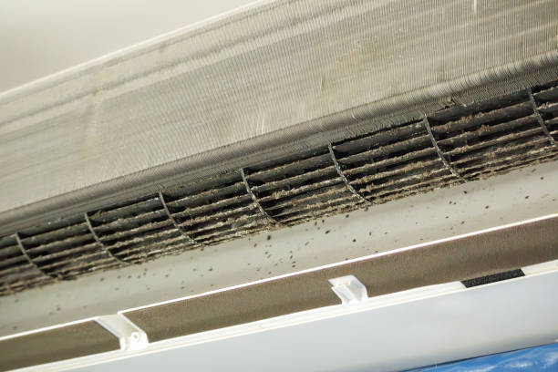 Best Ventilation Cleaning Services  in Apison, TN