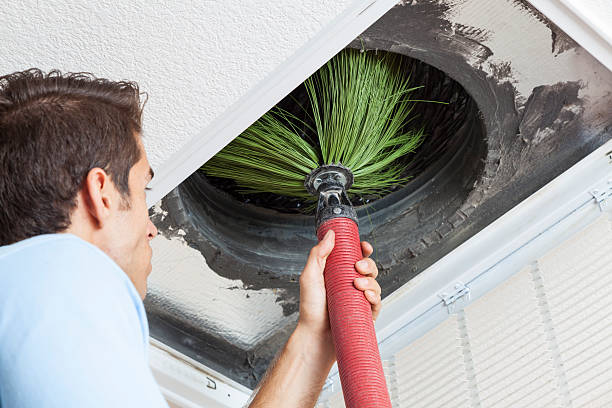 Best Affordable HVAC Duct Cleaning  in Apison, TN