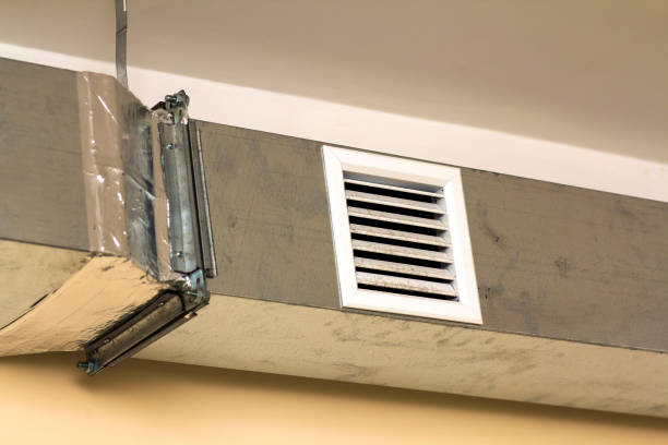 Best Dryer Vent Cleaning Services  in Apison, TN